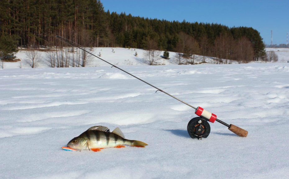 Удочки для зимней рыбалки на балансир