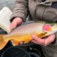 Tenir un carnet de pêche : pourquoi et comment ?