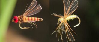 Mosca seca vs. mosca ahogada: cuándo usar cada una y cómo convertirse en un pescador más certero