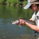 Salvar para soltar: Ética en la pesca y la práctica correcta de captura y suelta (catch and release)