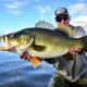 Técnicas infalibles para pescar black bass a lo largo del año: guía práctica y apasionante