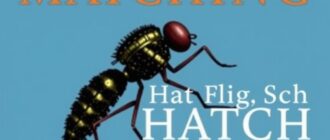 Matching the Hatch: La guía esencial del pescador con mosca para identificar insectos