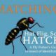 Matching the Hatch: La guía esencial del pescador con mosca para identificar insectos