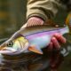 Finesse Fishing: Técnicas brillantes para peces sometidos a presión