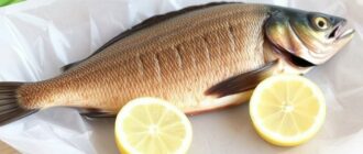 Cómo cocinar tu captura: recetas simples y deliciosas