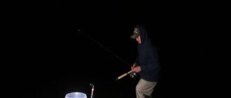 Pêche de nuit : matériel et précautions pour sortir en toute sérénité