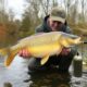 Friedfischangeln mit Pose und Feeder: la guía completa para disfrutar y triunfar junto al agua