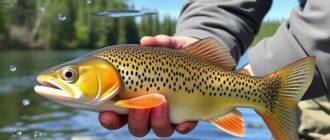 Angelgewässer richtig lesen: Where the Fish Hide and How to Find Them Every Time