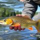 Angelgewässer richtig lesen: Where the Fish Hide and How to Find Them Every Time