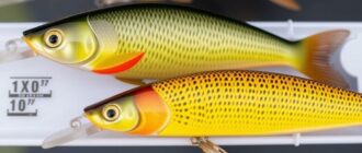 Angelköder im Vergleich: When to Use Which Bait — A Friendly Guide for Every Angler