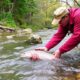 Cómo Leer un Río: Encuentra Peces en Agua Corriente como un Experto