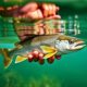 Catch and Release: Ethisches Angeln und korrekte Handhabung — The Compassionate Angler’s Guide
