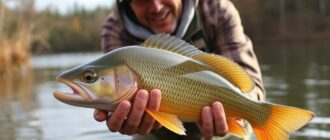 Cómo Encontrar y Capturar Peces en un Lago Nuevo sin Guía: Guía Completa, Paso a Paso y Práctica