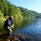 Angelrevier Deutschland: Vorstellung der besten Gewässer — Guía completa para pescadores en Alemania