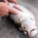 Manejo respetuoso del pescado capturado: aturdimiento, sacrificio y eviscerado para mejores resultados y menor sufrimiento